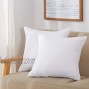 Acanva Throw Pillow Inserts Soft Couch Stuffer Hypoallergenic Polyester Square Form Washable Cushion Euro Sham Filler 18-2P White 2 Count