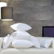 Aiwendish 22x22 Pillow Insert Set of 2 Premium Micro Polyester Filled Square Form Decorative Throw Pillow Cushion Sham Stuffer White