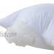 Aiwendish 22x22 Pillow Insert Set of 2 Premium Micro Polyester Filled Square Form Decorative Throw Pillow Cushion Sham Stuffer White