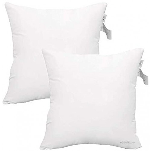 ANA 2 Pcs Pack Throw Pillow Inserts Hypoallergenic Square Form Sham Stuffer 16 x 16Inches