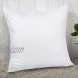 Aooba Throw Pillows Insert Stuffer Pillow Inserts Square Indoor Decorative Pillows Bed and Couch Pillows,18 x 18 Inches（White）