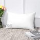 Artscope Premium Throw Pillow Insert Hypoallergenic Square Form Cushion Stuffer for Couch Sofa Bed Indoor Decorative Pillows Inserts 12x20 Inch