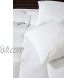 Bluffy Throw Pillows Inserts Lightweight Down Alternative Polyester Pillows Couch Cushion Sham Stuffer Set of 2 26x26
