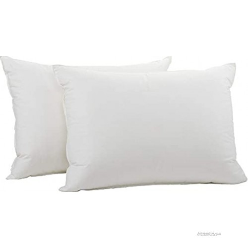 Coyuchi Down Pillow Insert Standard White