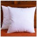 DOWNIGHT Set of 2 Cotton Fabric Throw Pillow Inserts Down and Feather Decorative Pillow Insert Please Choose The Correct Size Pillow Inserts 18X18 Inches.