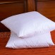 DOWNIGHT Set of 2 Cotton Fabric Throw Pillow Inserts Down and Feather Decorative Pillow Insert Please Choose The Correct Size Pillow Inserts 18X18 Inches.