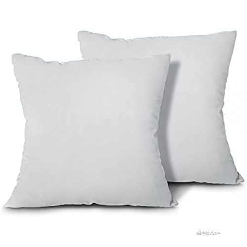 EDOW Throw Pillow Inserts Set of 2 Lightweight Down Alternative Polyester Pillow Couch Cushion Sham Stuffer Machine Washable. Grey 18x18