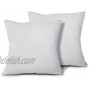 EDOW Throw Pillow Inserts Set of 2 Lightweight Down Alternative Polyester Pillow Couch Cushion Sham Stuffer Machine Washable. Grey 18x18