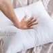 EMEMA Pack of 4 Throw Pillow Inserts Fluffy Plump Decorative Cushion Inner White Premium Stuffer Soft Square Warm for Sleeping Bed Couch Sofa Bedroom 18x18 Inch 45x45 cm