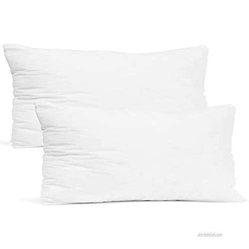 Empyrean Bedding Throw Pillow Insert 12 x 20 Inches Decorative Pillows Cotton Blend Outer Shell Indoor & Outdoor Pillows Pack of 2 White