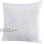 EvZ Homie Premium Stuffer Pillow Insert Sham Square Form Polyester 20 L X 20 W Standard White Striped for 20 Covers