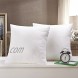 HIPPIH 2 Pack Pillow Insert 18 x 18 Inch Hypoallergenic Decorative Square Sofa and Bed Pillow Form Inserts