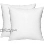 HIPPIH 2 Pack Pillow Insert 18 x 18 Inch Hypoallergenic Decorative Square Sofa and Bed Pillow Form Inserts