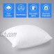HOMEIDEAS Throw Pillow Inserts 18x18 Inch 100% Cotton Couch Pillow Inserts Stuffer Pillow Inserts Sham 2 Pack