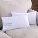 Homelike Moment Down Feather Throw Pillow Insert 12X20 Couch Pillow Inserts Set of 2 100% Cotton Fabric