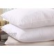 Huacel 16x24 Pillow Insert 40x60cm Pillow Insert Standard Solid Cushion Inner Stuffer Pillow Sham Insert Pillow Square Rectangular Decorative Throw Pillow Inserts Polyester Core 16x24 Inch