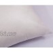 ILLAM 12x20 Premium Stuffer Home Office Decorative Throw Pillow Insert Standard White 12x20