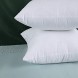 INHE Set of 2-18x18 Throw Pillow Inserts Premium Hypoallergenic Pillow Stuffer for Decorative Bed Cushion Couch Sofa White Pattern B
