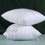 INHE Set of 2-18x18 Throw Pillow Inserts Premium Hypoallergenic Pillow Stuffer for Decorative Bed Cushion Couch Sofa White Pattern B