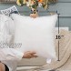 MIULEE Throw Pillow Insert Hypoallergenic Stuffer Pillow Inserts Decorative Square Premium Sham Pillow Forms for Sofa Couch Bed 16x16 Inch White
