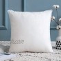 MIULEE Throw Pillow Insert Hypoallergenic Stuffer Pillow Inserts Decorative Square Premium Sham Pillow Forms for Sofa Couch Bed 16x16 Inch White