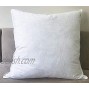 Natural Duck Feather Down Stuffed White Accent Pillow Insert 20x20 Breathable Egyptian 100% Cotton Cover 1pc Soft Support Square Decorative Throw Pillow Fill Insert for 18x18 Sofa Couch Chair Pillow