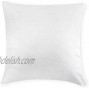 Pillow Insert Polyester Cotton 2PC in one Bag Square Shape 16x16 inch