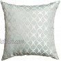 Softline Home Fashions 925HAL46818XPF Hechi Decorative Pillow 18 Spa