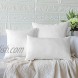 Soleebee Pillow Inserts Set of 2 Throw Pillow Square Indoor Decorative Pillows 3D PP Polyester for Couch Cushion Bed Stuffer White 12x20 in
