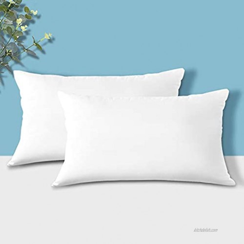 Soleebee Pillow Inserts Set of 2 Throw Pillow Square Indoor Decorative Pillows 3D PP Polyester for Couch Cushion Bed Stuffer White 12x20 in