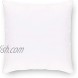 ZOYER Decorative Throw Pillow Inserts 2 Pack White Hypoallergenic Square Pillows Indoor Sofa Pillows Premium Quality Euro Pillows Decorative Pillow Cushion,Sham Stiffer 20x20
