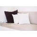 ZOYER Decorative Throw Pillow Inserts 2 Pack White Hypoallergenic Square Pillows Indoor Sofa Pillows Premium Quality Euro Pillows Decorative Pillow Cushion,Sham Stiffer 20x20