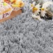 Noahas Ultra Soft Fluffy Bedroom Rugs Kids Room Carpet Modern Shaggy Area Rugs Home Decor 2.6' X 5.3' Grey