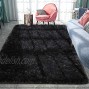 Pacapet Fluffy Area Rugs Black Shag Rug for Bedroom Plush Furry Rugs for Living Room Fuzzy Carpet for Kid's Room Nursery Home Decor 4 x 5.9 Feet