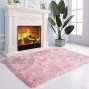 Pacapet Fluffy Faux Fur Area Rugs Pink Sheepskin Fuzzy Throw Rug for Girls Princess Room Bedroom Furry Carpet for Bedside Kids Nursery Room Decor 3x5 ft