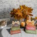 Jetec Fall Wooden Signs Thanksgiving Table Wooden Block Thanksgiving Decor Vintage Farmhouse Thanksgiving Wood Blocks for Fall Thanksgiving Decor Thanks Series