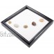 ZenChina Zen Sand Garden Mini Meditation Color Stone Table Décor Kit GR008