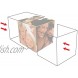 MCS 3.25x3.25 Inch Clear Plastic 6 Sided Photo Cube 4-Pack Clear 65750
