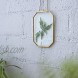 NCYP Glass Floating Frame Gold Octagon Clear Wall Decor Brass Hanging Frame for Display Pressed Plant Specimen Dried Flowers DIY Artwork Photo Picture Herbarium 4X6 inches Glass Frame Only