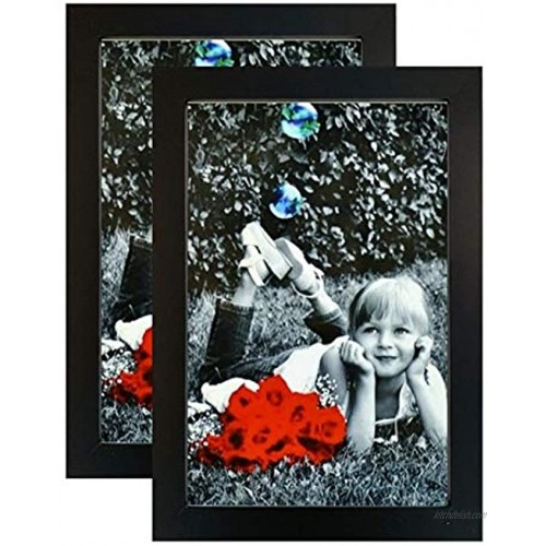 Tasse Verre 8x12 Picture Frames 2-Pack HIGH Definition Glass Front Cover Displays 8 by 12 Picture Frame- Vertical or Horizontal and Comes Ready to Hang. 8x12 Frame Poster