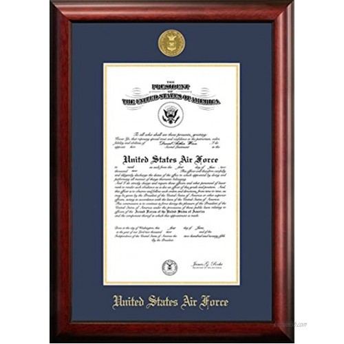 Patriot Air Force Certificate Frame with Gold Medallion 10 x 14 Inches