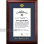 Patriot Air Force Certificate Frame with Gold Medallion 10 x 14 Inches