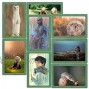 Magnetic Frames 10 Pack Picture Frame 4x6 inch for Refrigerator Cabinet Locker,Dishwasher & Other Metallic Surfaces Green