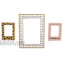 Paper Riot Magnetic Locker Fridge Photo Picture Frame 3 Count 4x6 and 2x3