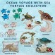 Comfy Hour Ocean Voyage with Sea Turtles Collection 7 Turtle Coastal Ocean Theme Wall Decorative Frame Polyresin