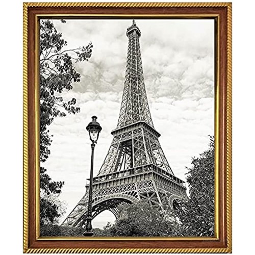 Harmony Frames 16x20 Gold Rope Wood Picture Frame Wall Mounting Gallery Display Mahogany
