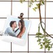 Metal Wire Wall Grid Rose Gold Wall Panel Decor Space Saver Metal Bulletin Board Office Organizer Hanging Hooks Included Bonus Rose Gold And Wooden Clips Hang Pictures Polaroids