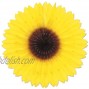 Beistle Sunflower Fan 18-Inch
