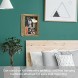 Greenco Wall Mounted Shadow Box Showcasing Photos Memorabilia Awards Medals-8x10