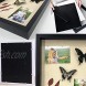 KelPen Premium Set of 2 Shadow Box Display Case [with Linen Board & Clay] 8x10 White & 11x14 Black Showcase Box for Keepsake Imprint Photo Display Baby Pet Handprint Collages [Set of Two]